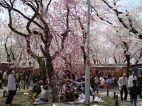 関東風関西風？